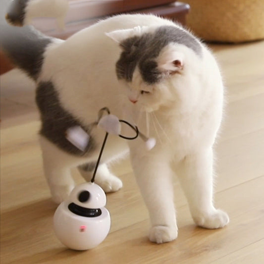 Electric cat toy