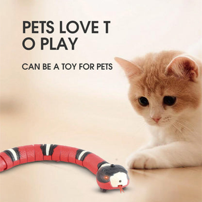 Interactive Electric Induction Snake Funny Cat Toy