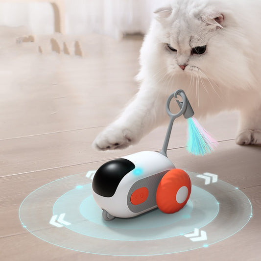 Pet Gravity Running Car Remote Control Toy
